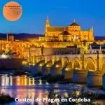 Control de plagas cordoba