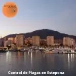 Control de plagas estepona