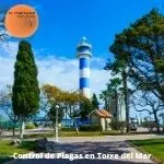 Control de plagas torre del mar